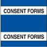 Minor Travel Consent Forms